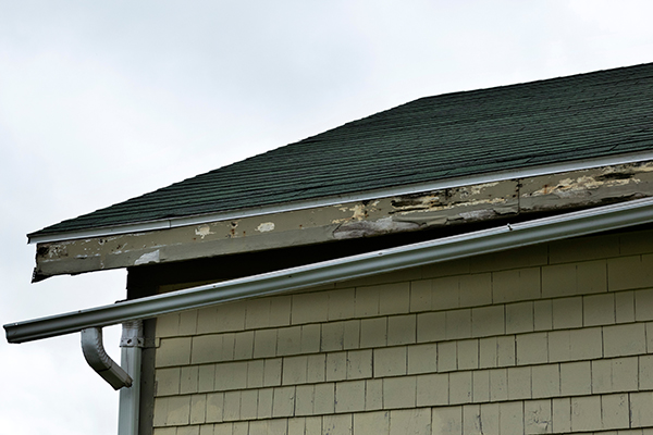 Image of a home’s broken gutter and soffit caused by wildlife; call Front Range Pest for pest removal and repair.