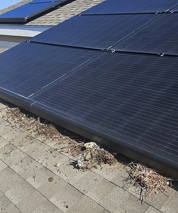 Image of bird debris and nesting material obstructing a solar panel on a residential roof.